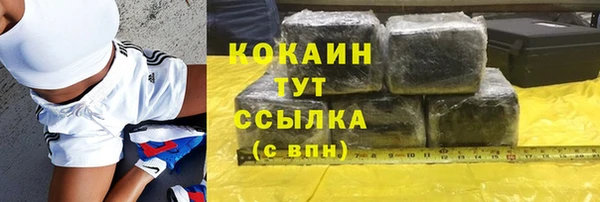 дживик Арсеньев