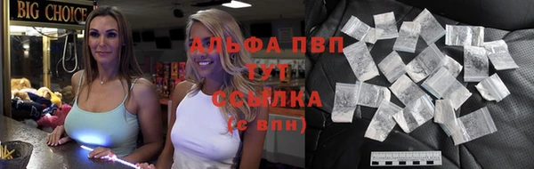 твердый Аркадак