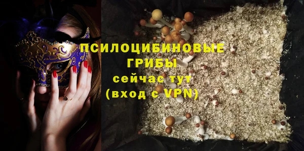 твердый Аркадак
