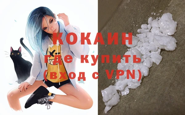 дживик Арсеньев